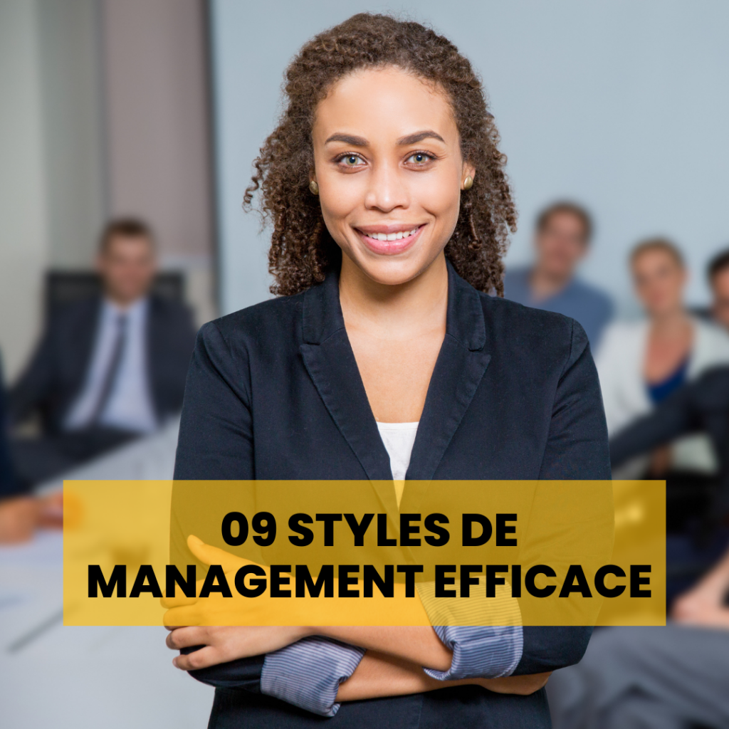 9 Styles De Management Efficace - Expatriation En Afrique